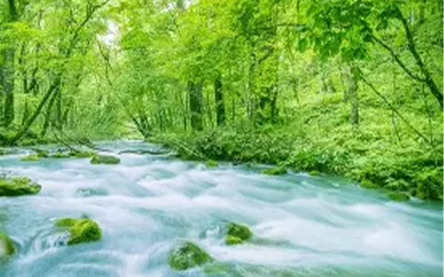 せせらぎの画像01